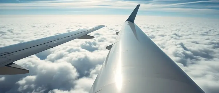 Economic Realities of AAL and the Low-Cost Carrier Model
