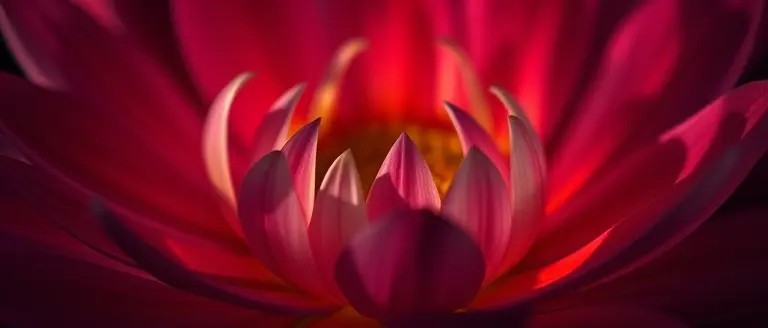 Decoding the 'Petal' Aesthetic: Musical Direction and Thematic Meaning