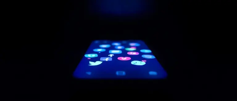 The Role of Privacy and Public Speculation in the Digital Age