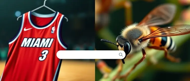 Understanding the 'Heat vs. Hornets' Query: Potential User Intent
