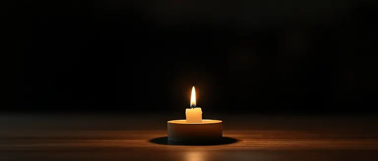 Standing with the Monroe Family: How to Support and Stay Informed