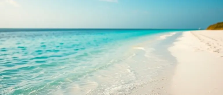 Understanding the Bahamas Election Day Alcohol Suspension