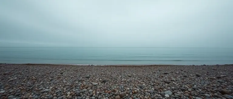 Understanding the Brighton Beach Incident: Official Reports