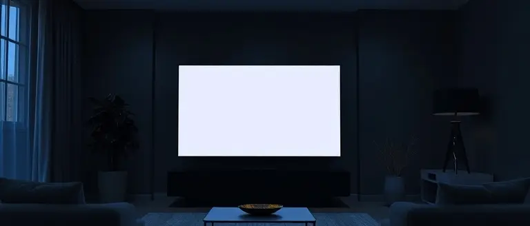 No, It Is Not on Cable TV: Accessing the Race