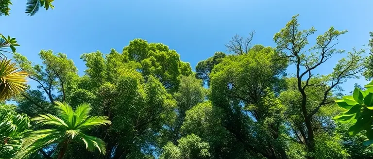 The Naturalist Legacy: Environmental Milestones of the Last Century