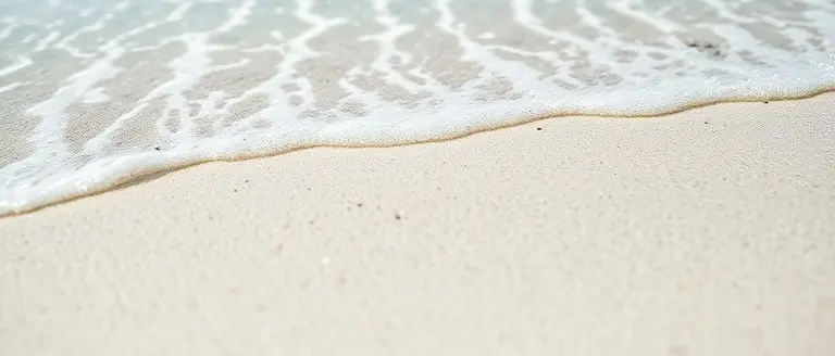 Real-Time Beach Conditions and Travel Tips