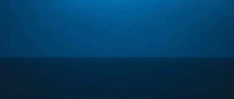 Understanding the Recent Maldives Diving Tragedy: A Chronology of Events