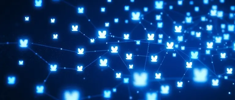 Tracing the Origin of the Misinformation