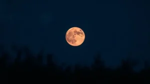 strawberry moon full moon tonight