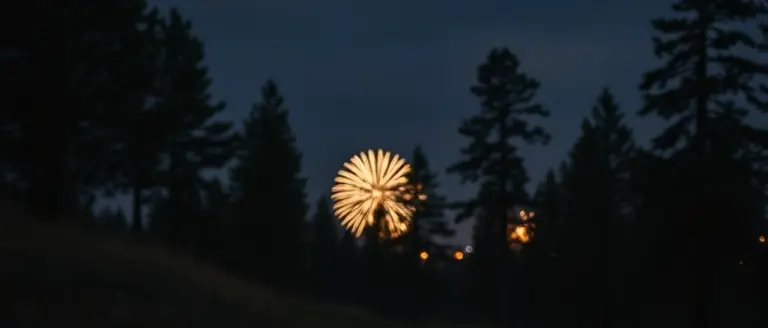 Balancing Tradition and Wildlife: The Fireworks Controversy