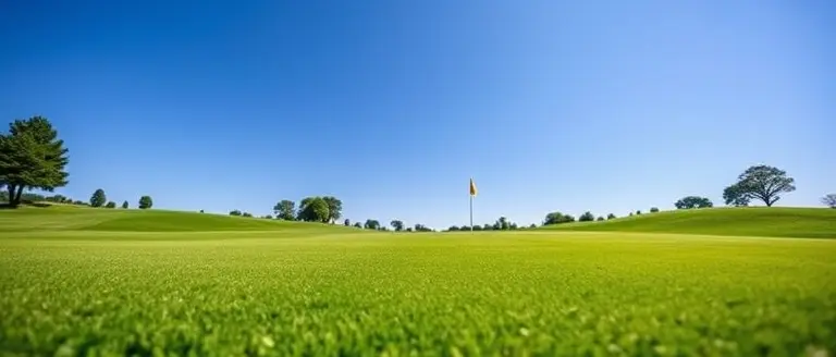Background on The Farms Golf Club Membership Policies