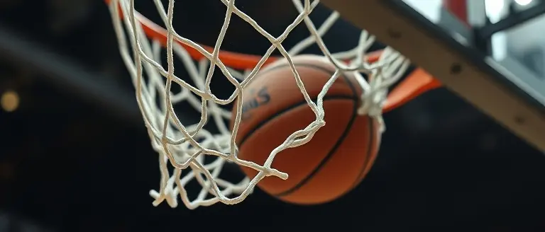 Physicality and the Whistle: A Statistical Analysis of WNBA Officiating