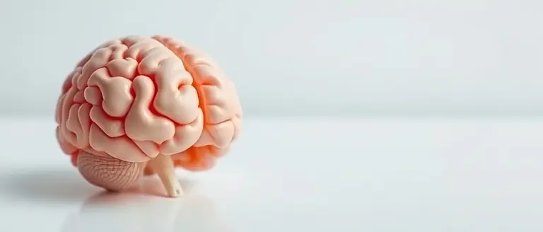 What is Transient Global Amnesia (TGA)?
