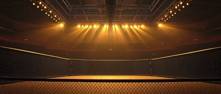 Positioning for Gold: The Future of the UFC Heavyweight Landscape